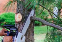 Enhancing Your Outdoor Area: Key Services for Beauty, Functionality, and Safety