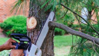 Enhancing Your Outdoor Area: Key Services for Beauty, Functionality, and Safety