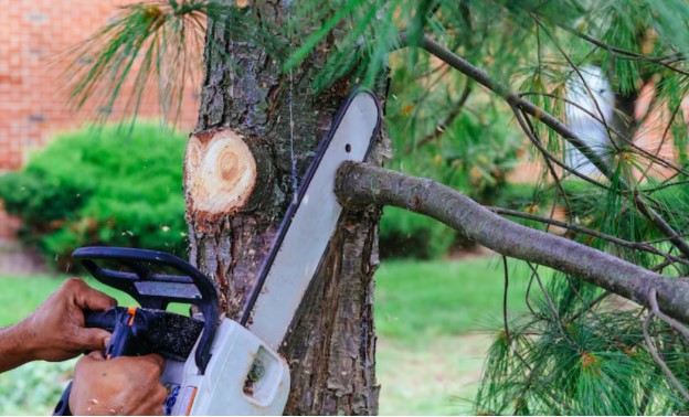 Enhancing Your Outdoor Area: Key Services for Beauty, Functionality, and Safety Enhancing Your Outdoor Area: Key Services for Beauty, Functionality, and Safety
